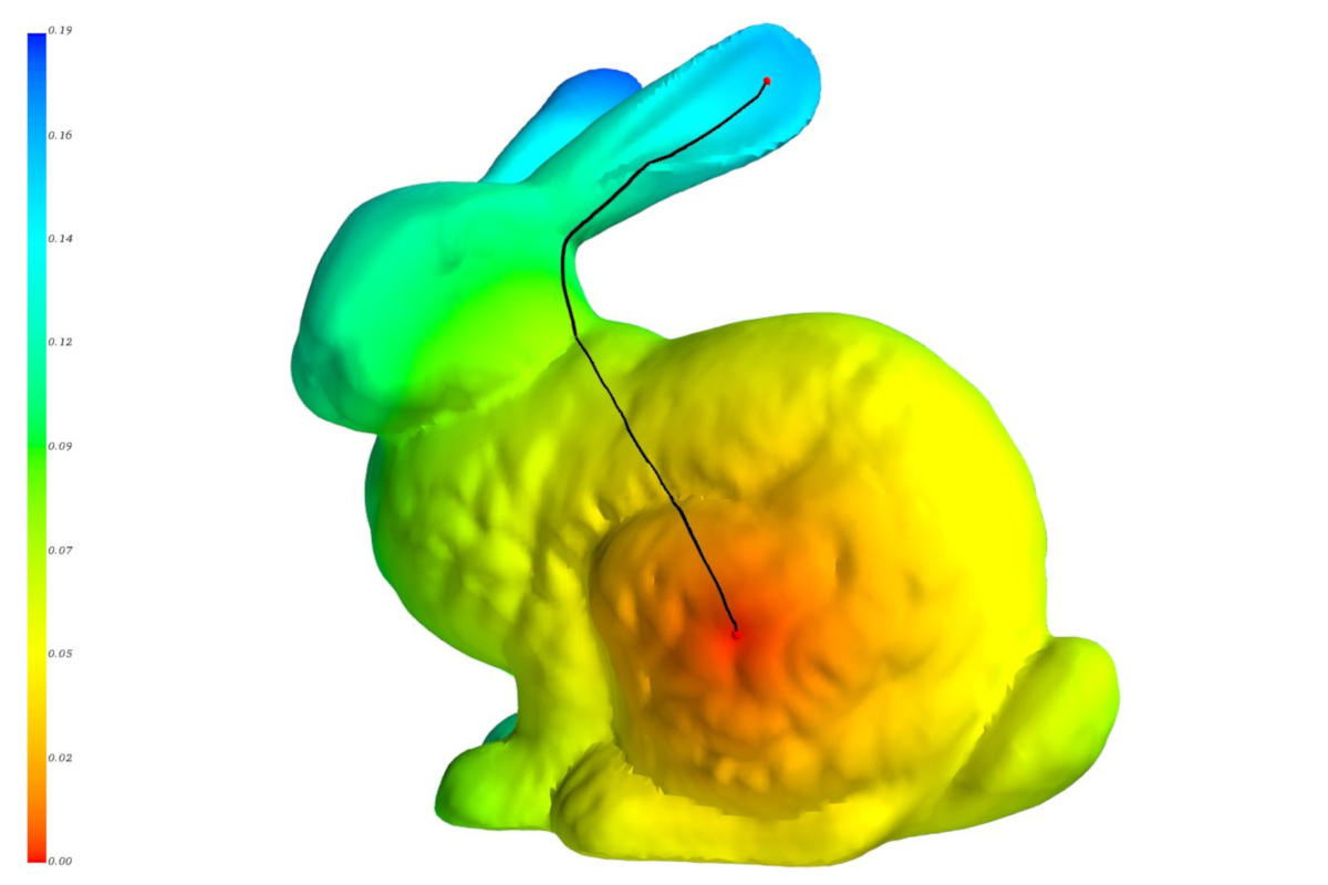 Geodesic distanz – bunny